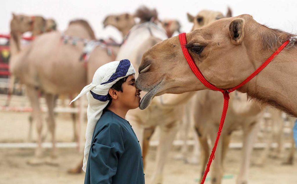 In Pictures Th Edition Of Al Dhafra Festival In Madinat Zayed