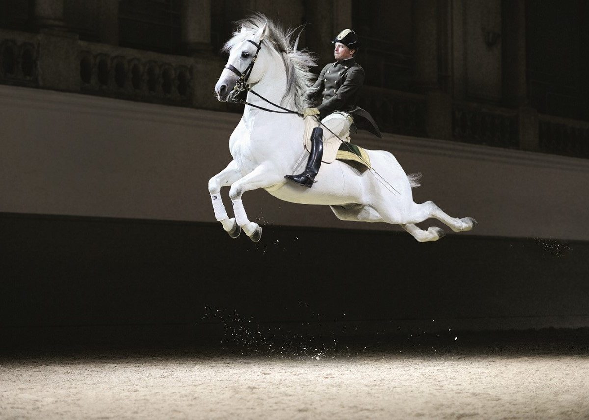 Home of the Lipizzaner stallions, a unique European breed, the Spanish Riding School is renowned globally for its performances.