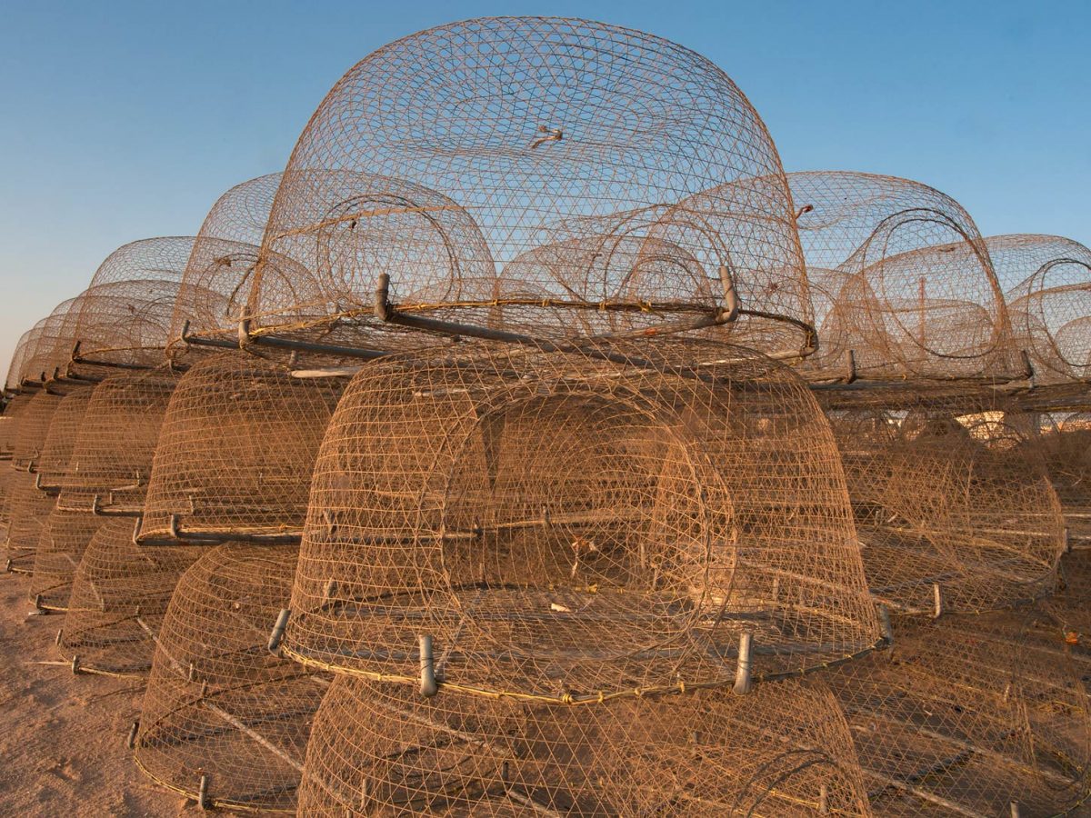 The decision requires all fishermen who are registered with MoCCAE to suspend the use of gargoor nets in the waters of Abu Dhabi before May 1.