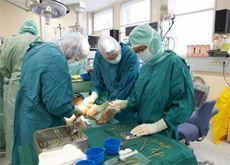 HOSPITAL CONSTRUCTION: Hyundai Engineering & Construction Co Ltd said on Thursday that it has won a 616.3 billion won ($534.1m) order to build a hospital in Qatar (Getty Images)