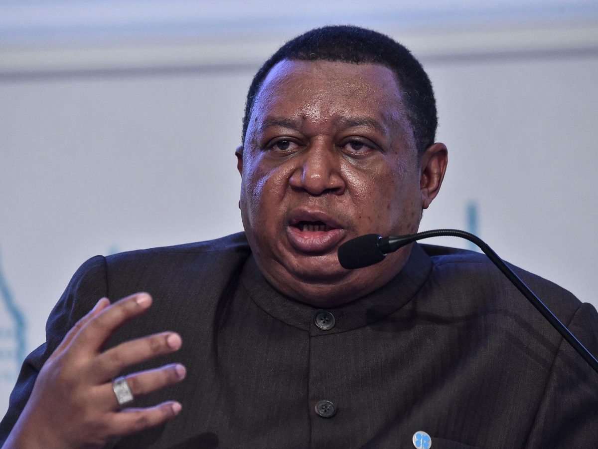 OPEC Secretary General Mohammad Barkindo speaks on July 12, 2017 at the IEA- OPEC dialogue session during the 22nd World Petroleum Congress in Istanbul.