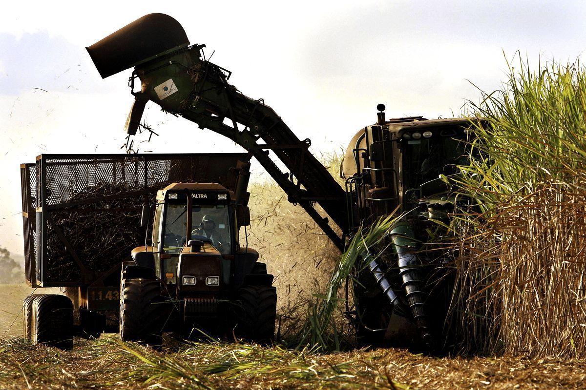 BRAZILIAN STAKE: Adecoagro, which is backed by billionaire investor George Soros, produces sugar, coffee, soybeans, corn, rice and milk in farms in Brazil, Argentina and Uruguay (Getty Images)