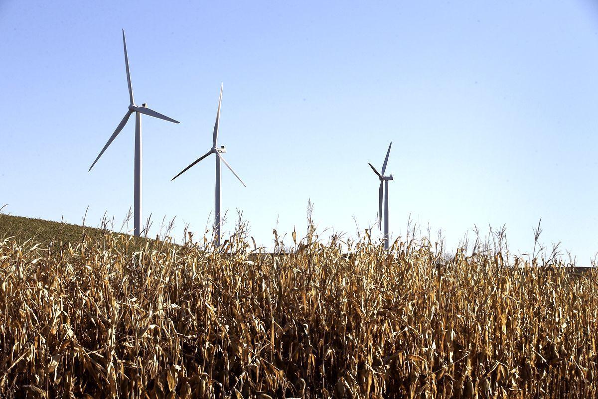 The wind farm, which is fully funded by the Abu Dhabi Fund for Development (ADFD), reflects Oman’s commitment to diversify its energy sources. (Photo for illustrative purposes only)