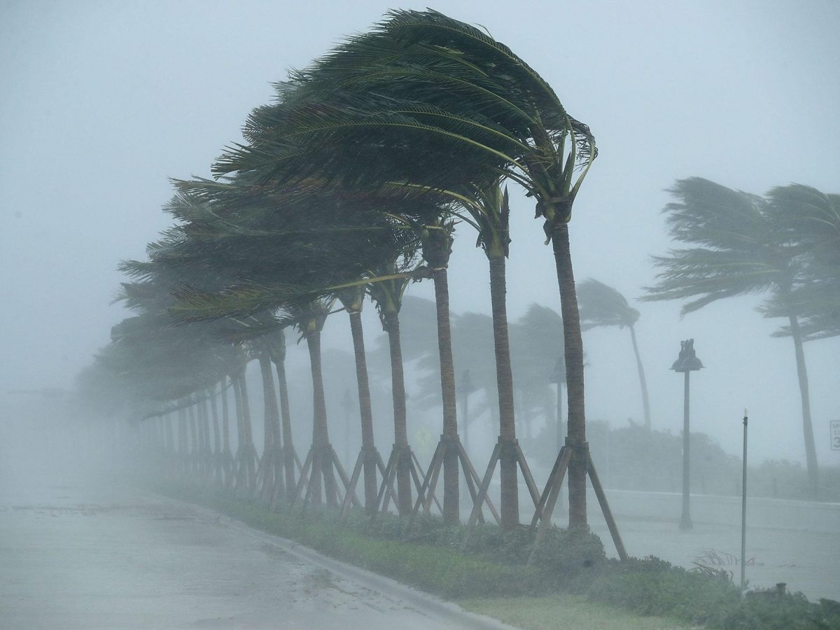 Trees bend in the tropical storm wind along North Fort Lauderdale Beach Boulevard as Hurricane Irma hits the southern part of the state September 10, 2017 in Fort Lauderdale, Florida. The powerful hurricane made landfall in the United States in the Florida Keys at 9:10 a.m. after raking across the north coast of Cuba.