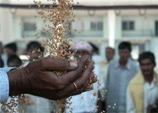 FOOD INVESTMENT: Saudi Arabia started encouraging food companies to invest in Africa and Asia in 2008 (Getty Images)