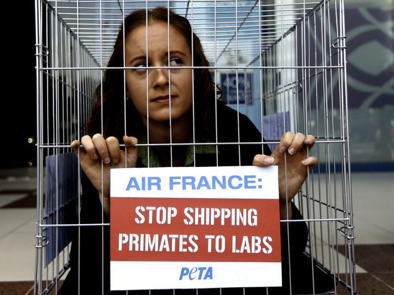 An activist of the People for Ethical Treatment of Animals (PETA) is seen imprisoned in tiny cage with a banner reading: Air France, Stop Shipping Primates to Labs, outside Air Frances main office in Dubai, on June 11, 2014. (AFP/Getty Images)