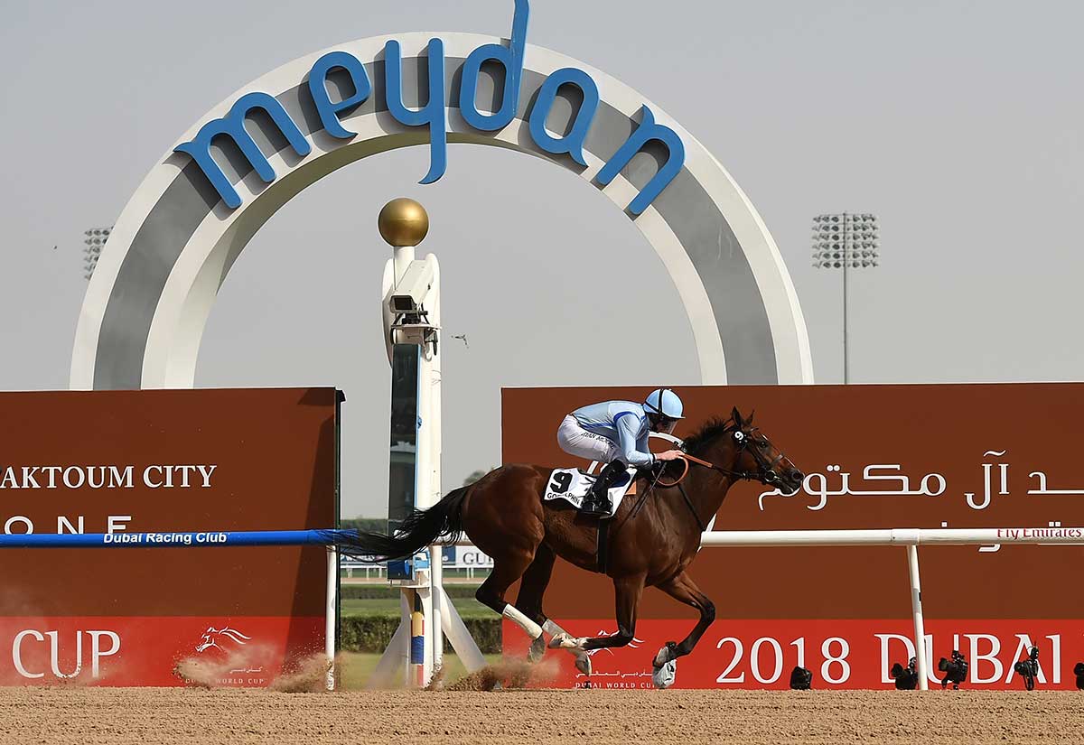 Dubai World Cup finished at the top of the leaderboard with a score of 95.3.