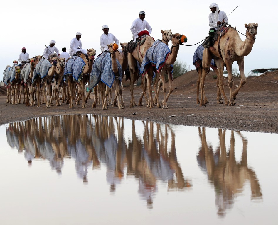 The UAE Ministry of Climate Change and Environment (MOCCAE) seeks to encourage youth to take up green entrepreneurship (Getty Images)