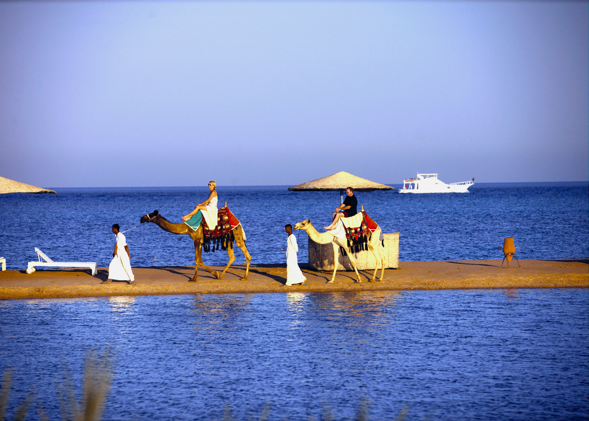 Tourists enjoy a camel ride in luxury surroundings.