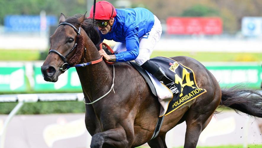 Dubai's Godolphin wins Sydney Cup again after abandoned 'win' - Arabian ...