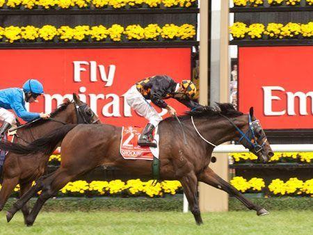 Shocking came with a late run to deny Godolphin their first Emirates Melbourne Cup at Flemington Racecourse in 2009.