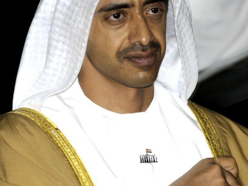 UAEs Foreign Minister Sheikh Abdullah bin Zayed al-Nahayan. (AFP/Getty Images)