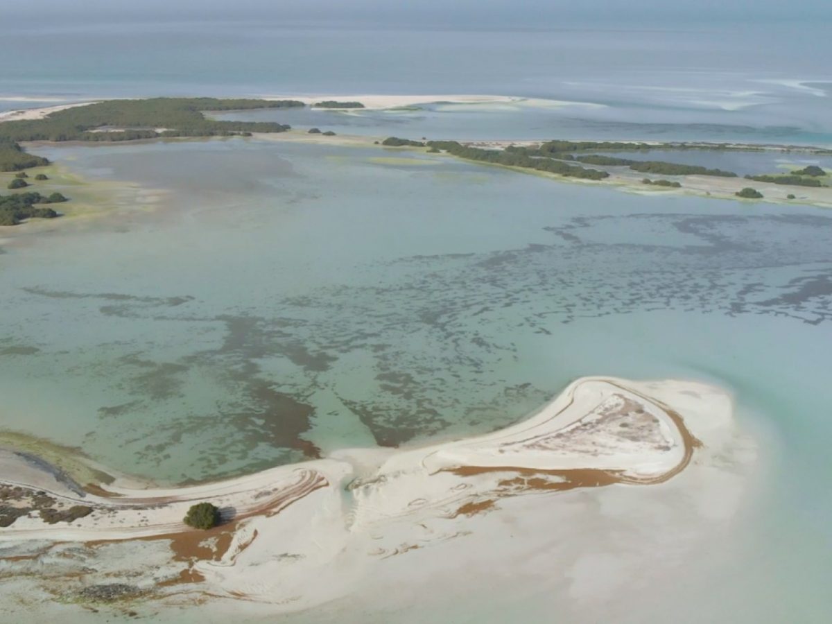 The five-part documentary series, in conjunction with National Geographic Abu Dhabi and the Environment Agency – Abu Dhabi (EAD), will take viewers on a journey across various protected areas within Abu Dhabi.