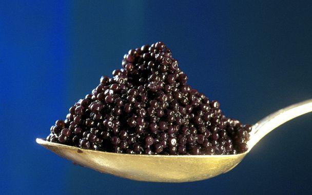 The first commercial batch of caviar to come from a Middle East fish farm will be delivered in 2012, Abu Dhabis Bin Salem Holding has said