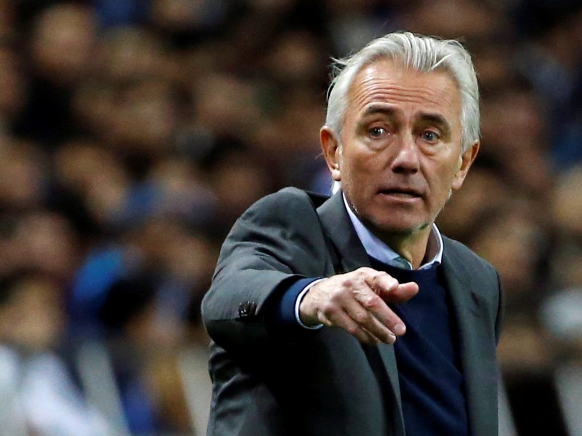 Van Marwijk replaces Italian Alberto Zaccheroni, who left his job as UAE coach after the Asian Cup.