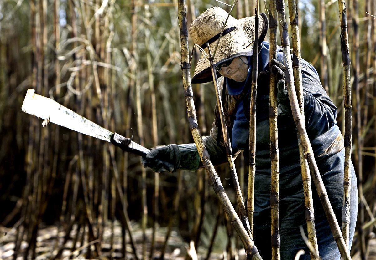 Subdued physical demand for sugar due to high prices, has weighed on the whites-over-raws premium