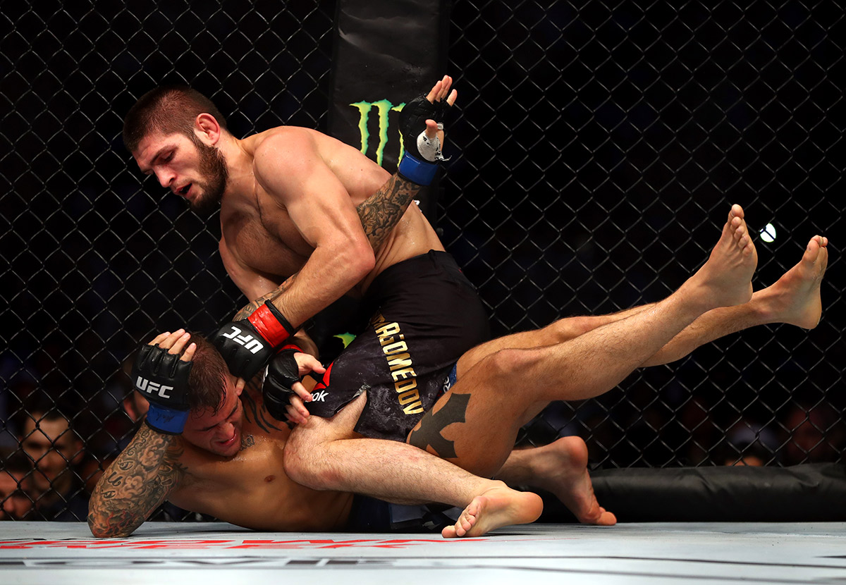 Gallery Action from UFC 242 in Abu Dhabi Arabian Business Latest