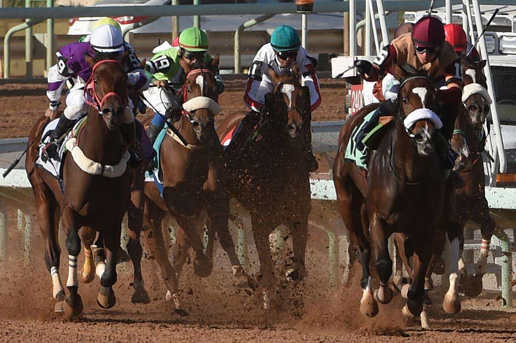 Jockeys compete at the King Abdulaziz Racetrack in the capital Riyadh on November 11, 2016. The modern facility surrounded by greenery on the edge of Riyadh offers respite from the highways and urban sprawl of a city carved out of the desert. 
(Photo: FAYEZ NURELDINE/AFP/Getty Images)