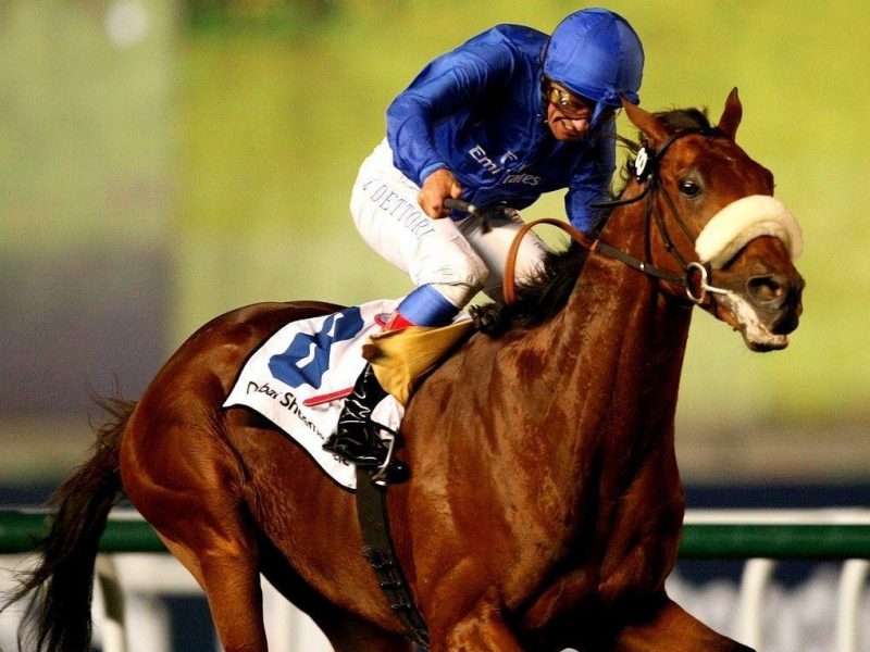 Goldolphin horse Rewilding on his way to victory in the Dubai World Cup meeting. (Getty Images)