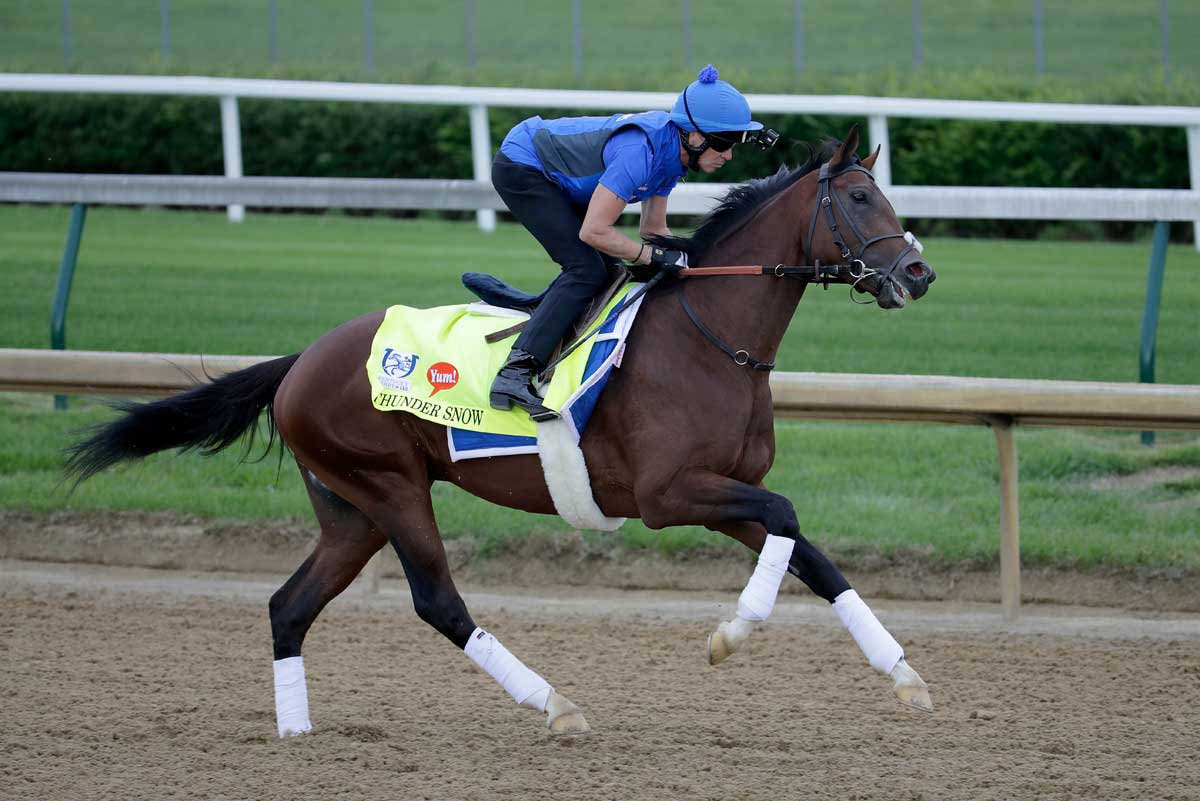 Thunder Snow is the defending Dubai World Cup champion horse. (Getty Images)