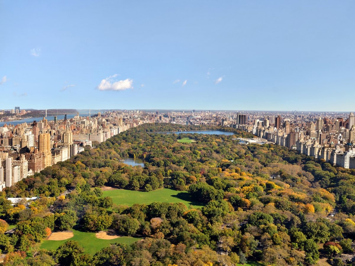 Central Park - Latest News, Views, Reviews, Updates, Photos, Videos on ...