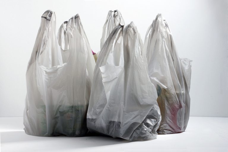 Later phases will witness a permanent ban on the use of plastic bags at certain malls and supermarkets.