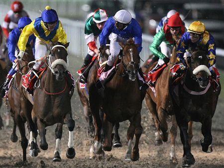 Dubai World Cup - Arabian Business: Latest News on the Middle East ...