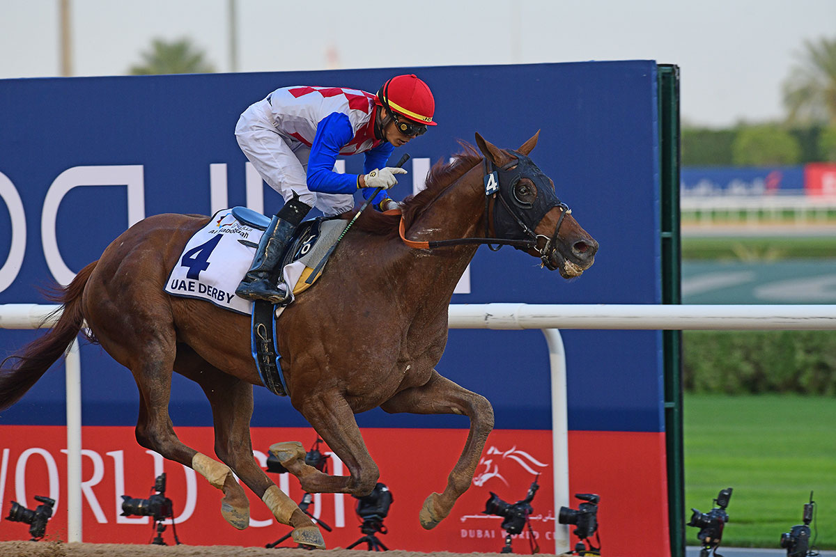 In Pictures Dubai World Cup 2019 At Meydan Arabian Business Latest News On The Middle East 3624