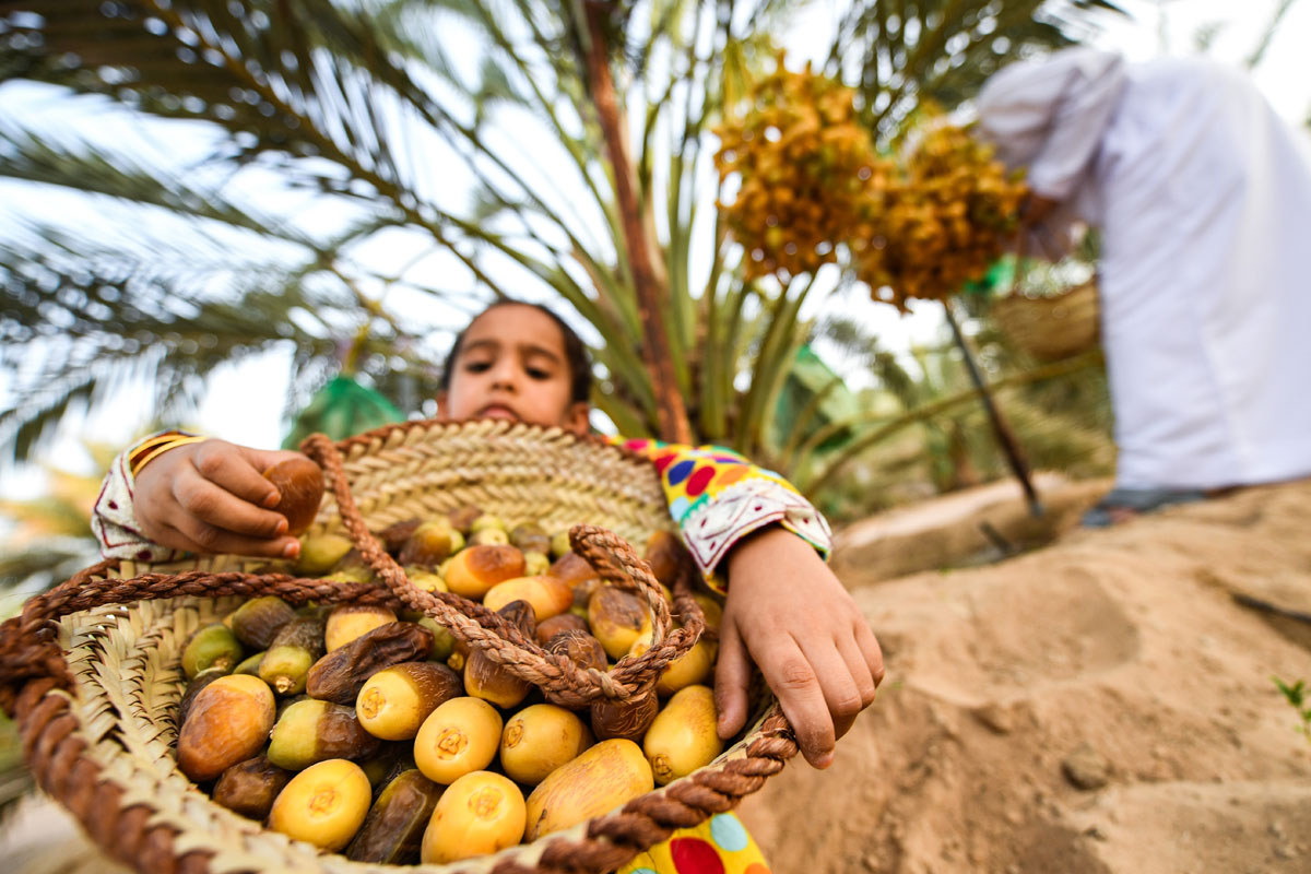 Gallery Explore UAE's culture and heritage at Liwa Date Festival in Al