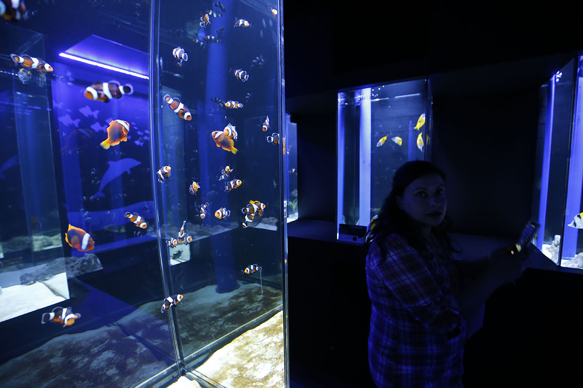 In pictures: Newly-opened 'Palestine Aquarium' turned into a tourist ...