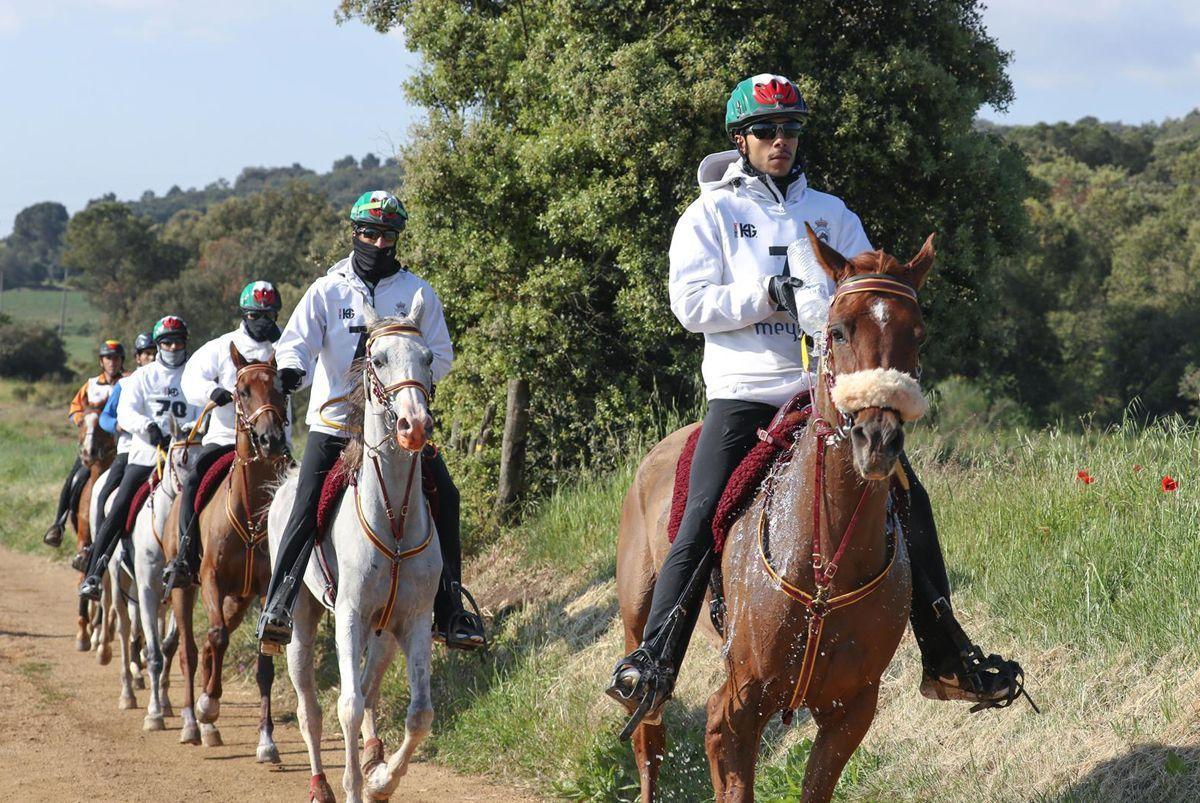 In Pictures Dubai Sheikh Mohammed At Endurance Challenge In Spain