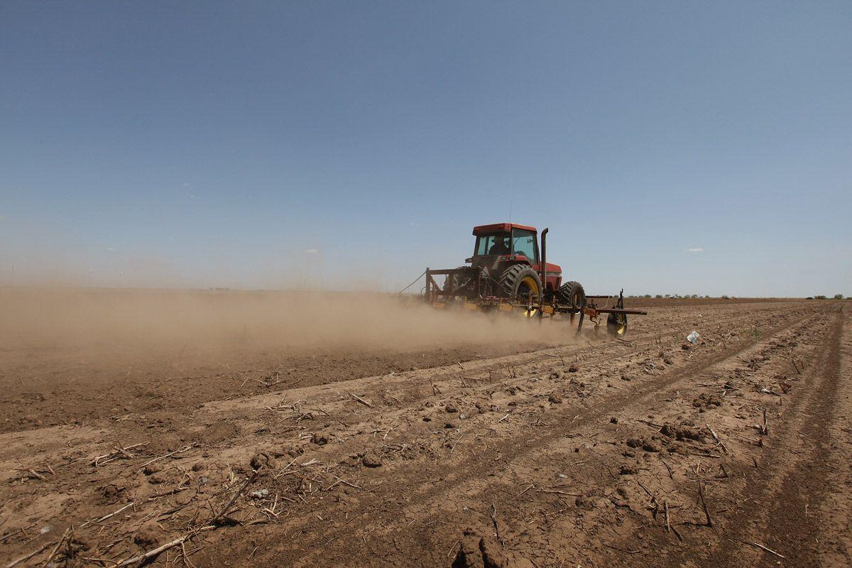 Farmers Struggle As Texas Endures Historic Drought - Arabian Business