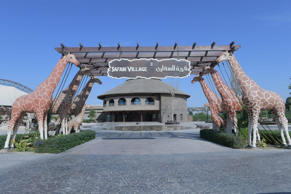 Dubai Safari Park offers new attractions as it opens doors to visitors ...