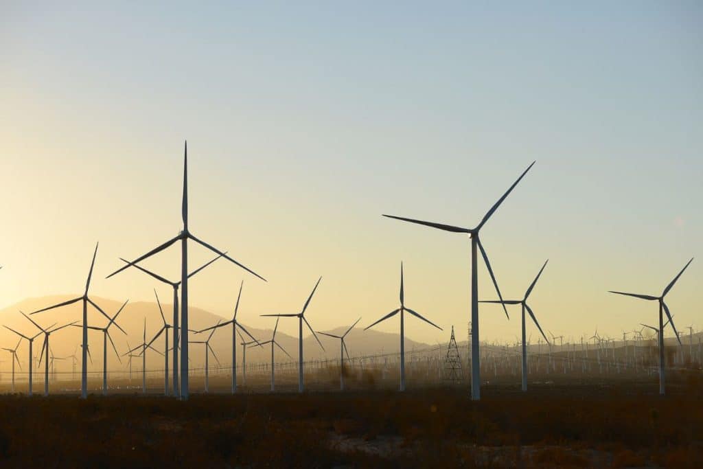 uae egypt wind farms