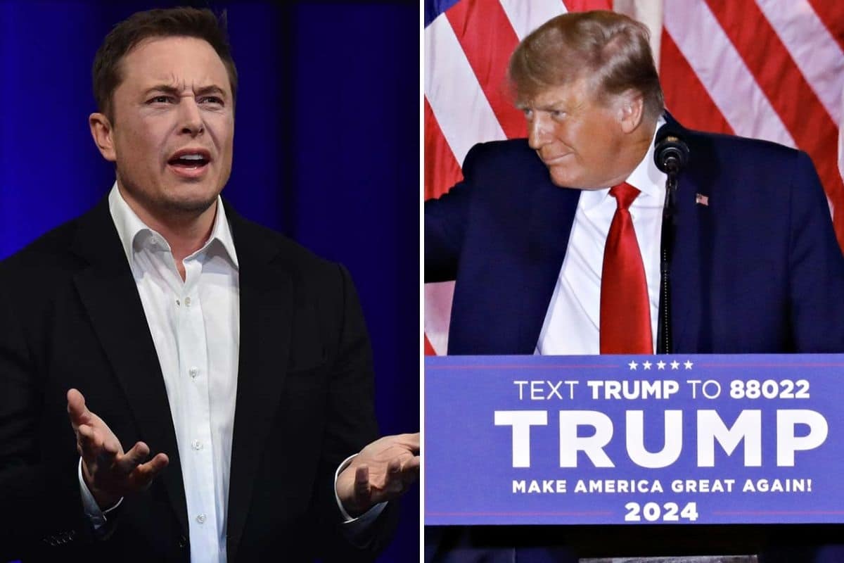 Elon Musk Lifts Donald Trump Twitter Ban Arabian Business Latest News On The Middle East 