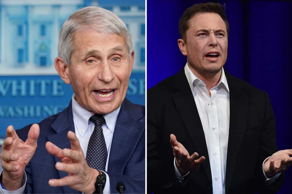 Elon Musk Anthony Fauci tweet twitter