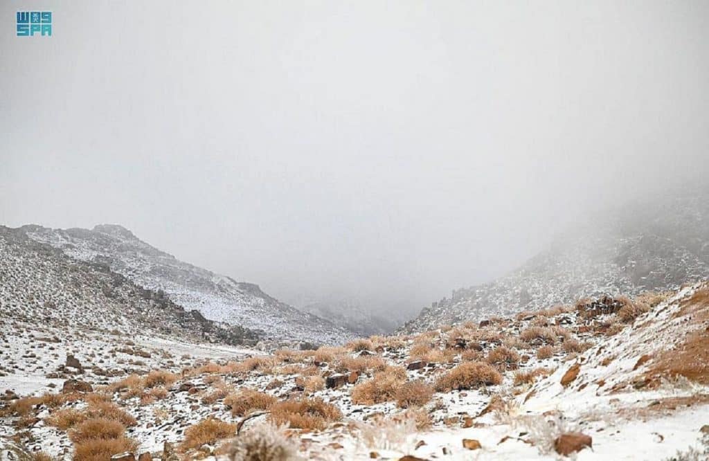 Snow in Saudi Arabia, tourists flock to Tabuk Arabian Business