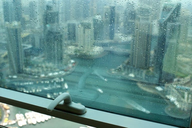 UAE temperature to plunge to 4°C as thunderstorms and rain forecast