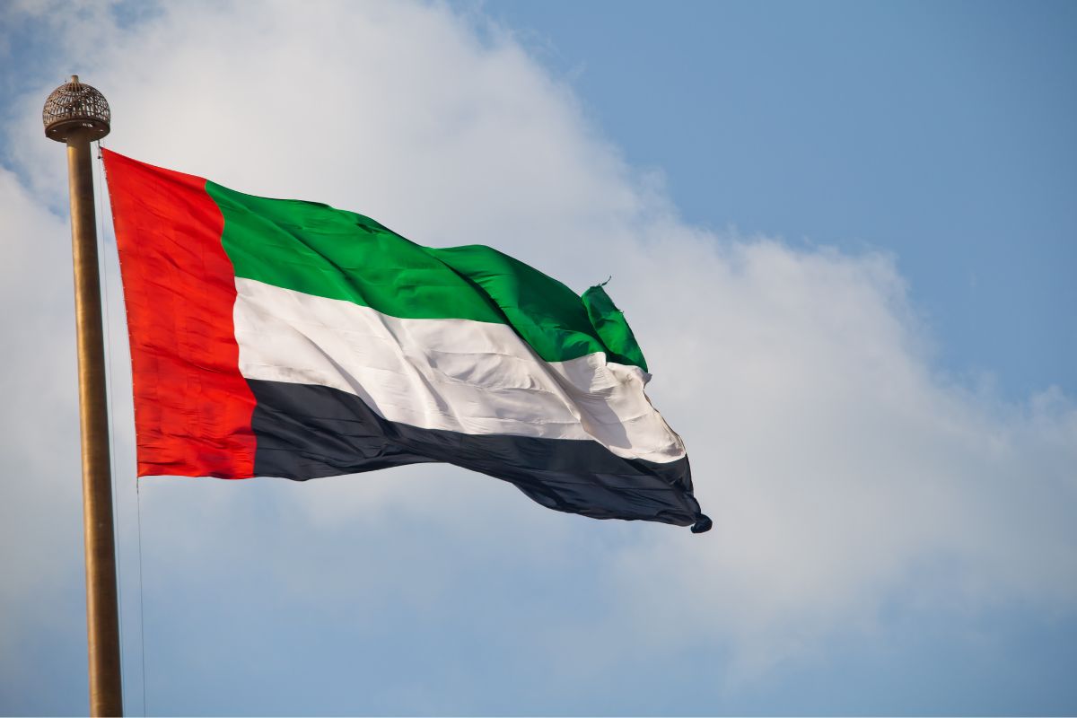 UAE foreign direct investments