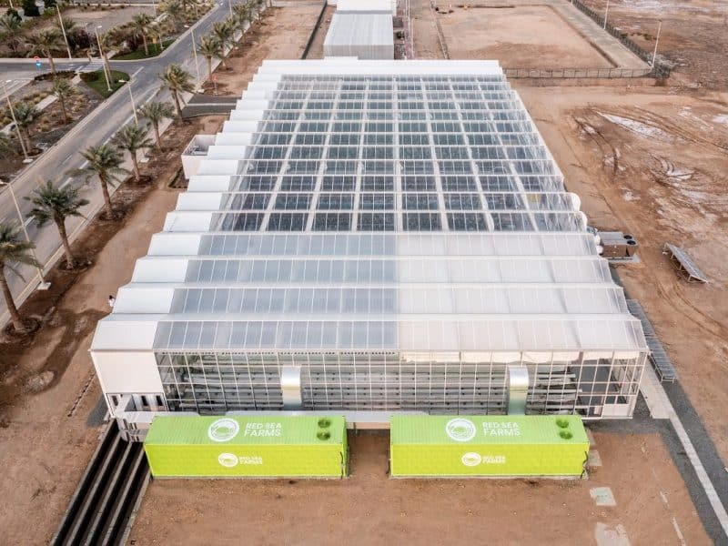 PIF to build vertical farms in Saudi Arabia - Arabian Business