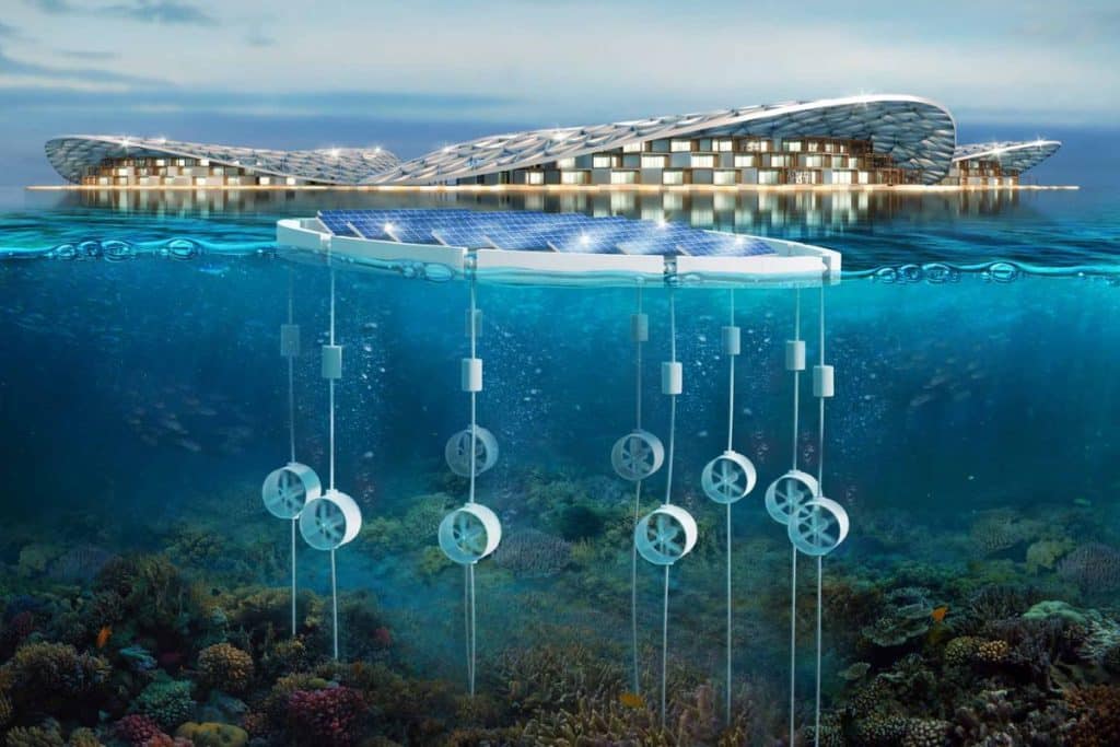 Artificial coral reef project in Dibba to be completed by July - Muscat  Daily