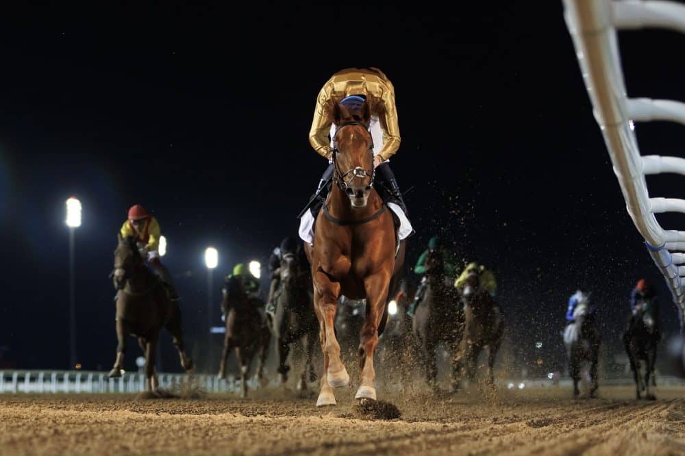 Dubai Racing Carnival announces new season, 30.5m World Cup to return