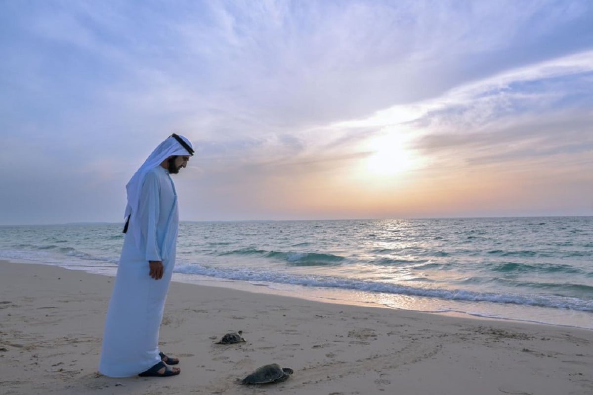 Dubai Beach Sheikh Mohammed