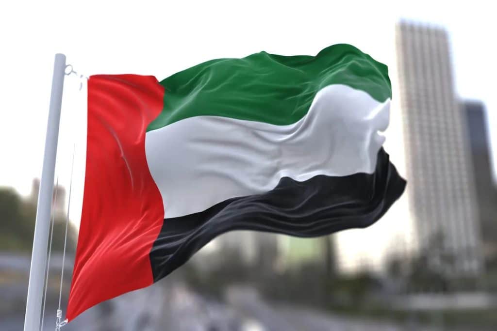 UAE tax 2024