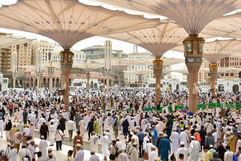 Number of pilgrims arrived in Madinah for Hajj till Monday reaches