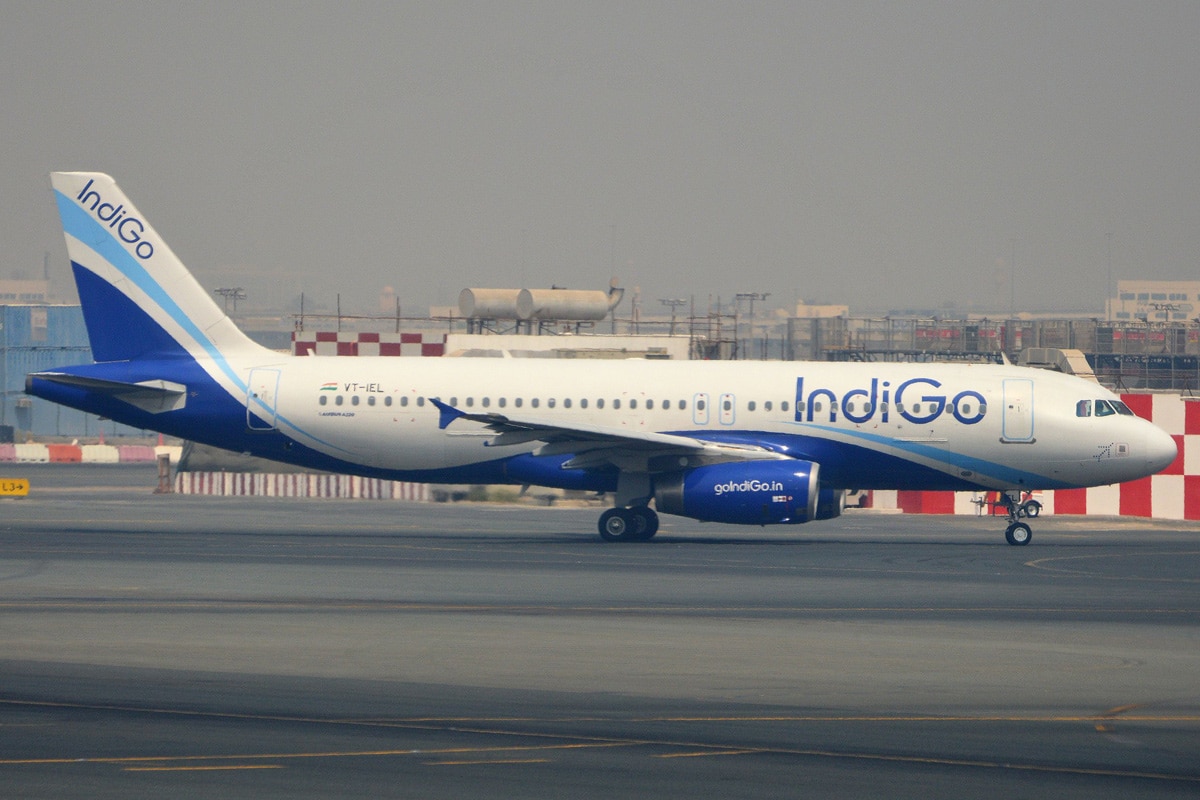 Indigo