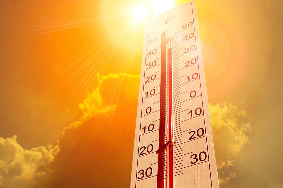 uae summer temperatures