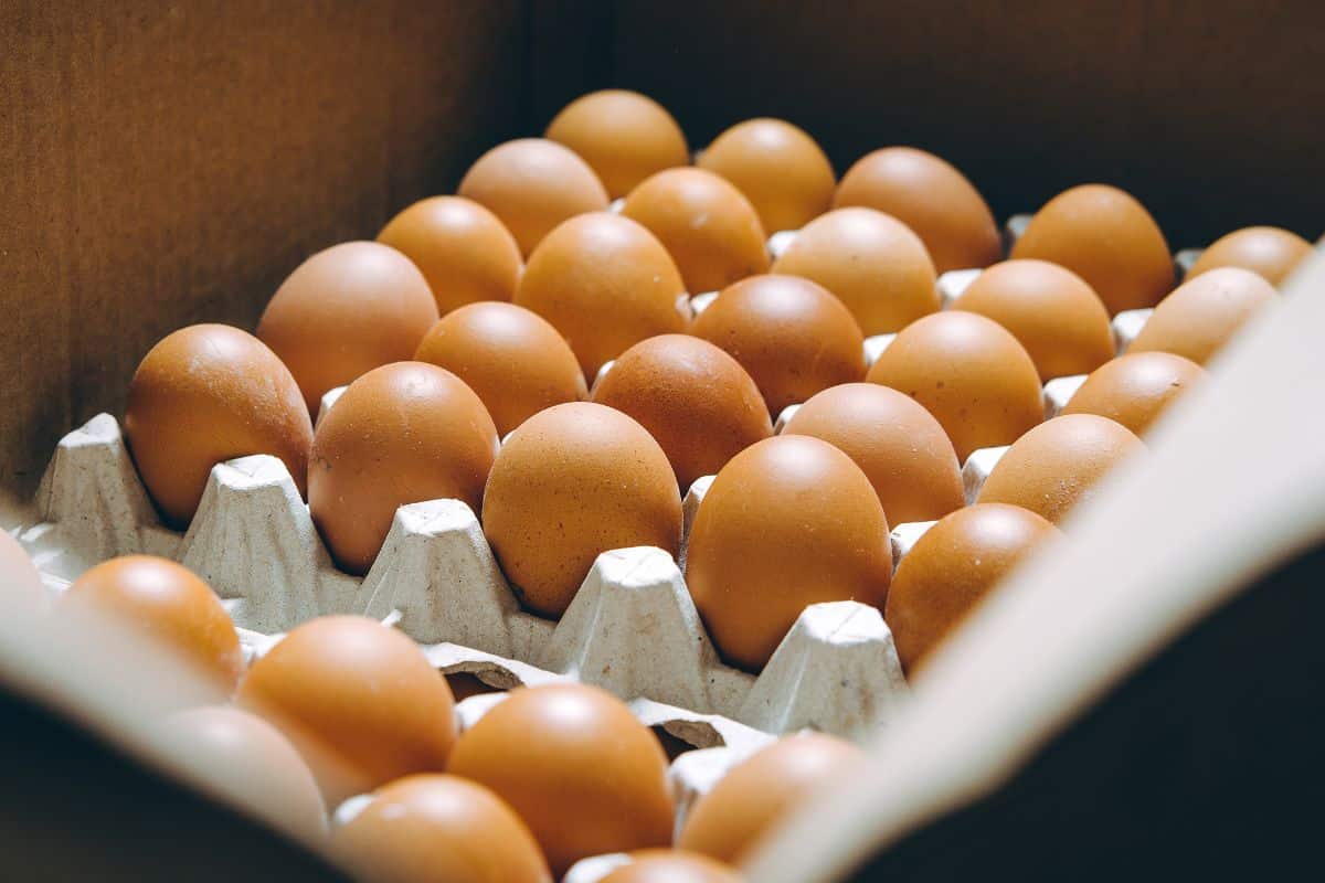 Fines Issued for Violating Egg and Poultry Price Controls in UAE