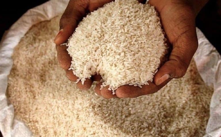 rice ban india