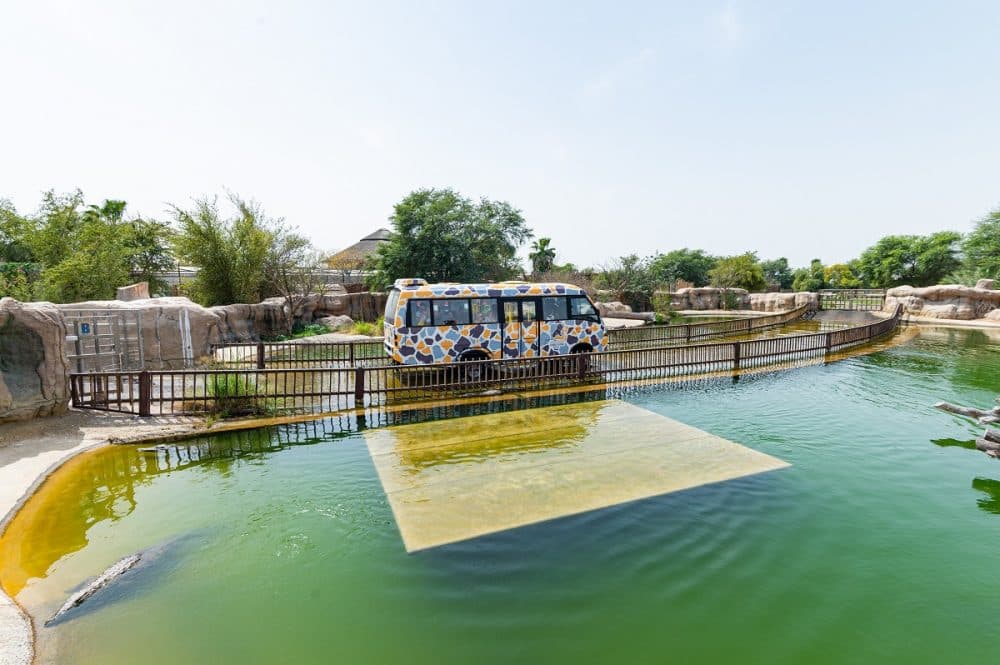 Dubai Safari Park: Opening Hours, Tickets, Special Packages, What’s On ...